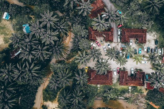 Jungle Clarity at Leafvault Villa