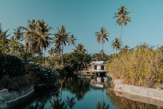 Jungle Insight at Leafvault Retreat