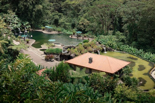 Jungle Stillshine at Leafglen Hotel