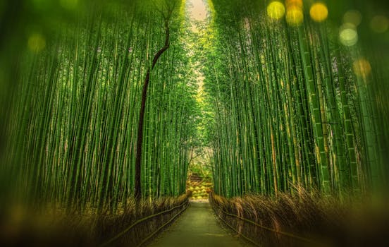 Jungle Zen at Leafshade Suites