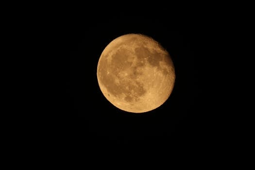 Parisian Moonlight at Maison Lumière