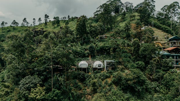 Rainforest Notes at Wildcrest Hotel