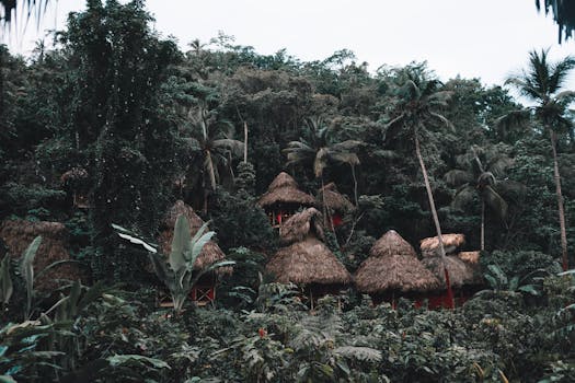 Rainforest Radiance at Wildwave Lodge