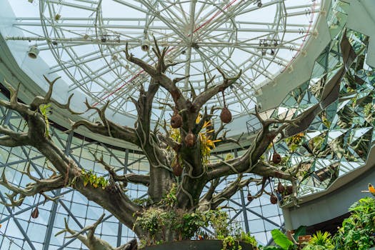 Rainforest Velvet at Wildwave Pavilion